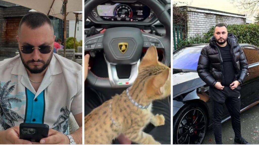 krimineli shqiptar mbulon vajzat me para dhe tallet me ministrine e brendshme the telegraph nuk i ndahet dorian pukes jete luksoze teksa kerkon azil 69615a0346c34