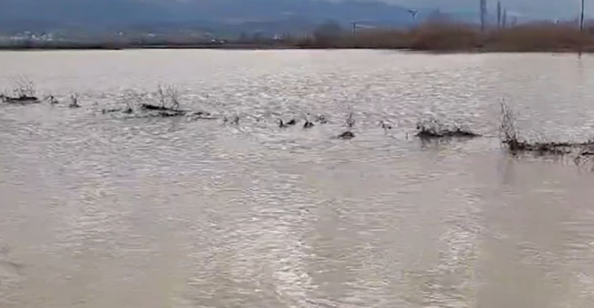 lumi seman dhe shkumbini dalin nga shtrati permbyten shtepi ne lushnje qindra ha toke ne rroskovec patos e fier 696353376854d