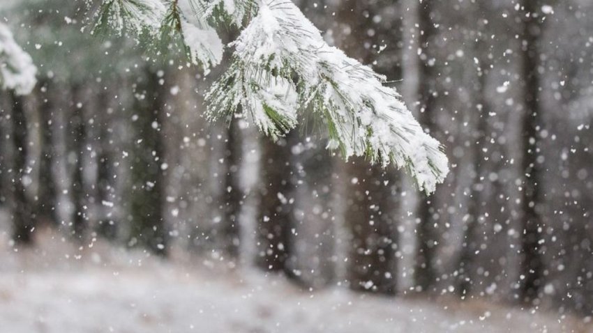 mot i vranet dhe me ngrica gjate javes se ardhshme te premten temperaturat bien deri ne minus 8c 695ac9cf6b556