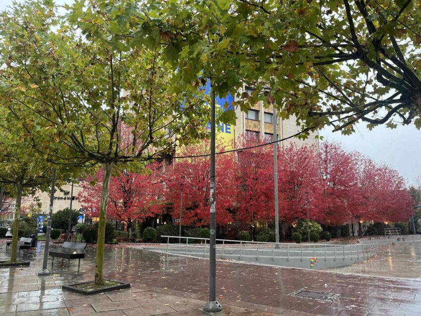 Mot me vranësira të ndryshueshme me reshje lokale të shiut dhe borës në pjesët malore 1 mot me vranesira te ndryshueshme me reshje lokale te shiut dhe bores ne pjeset malore 6958d593544a9