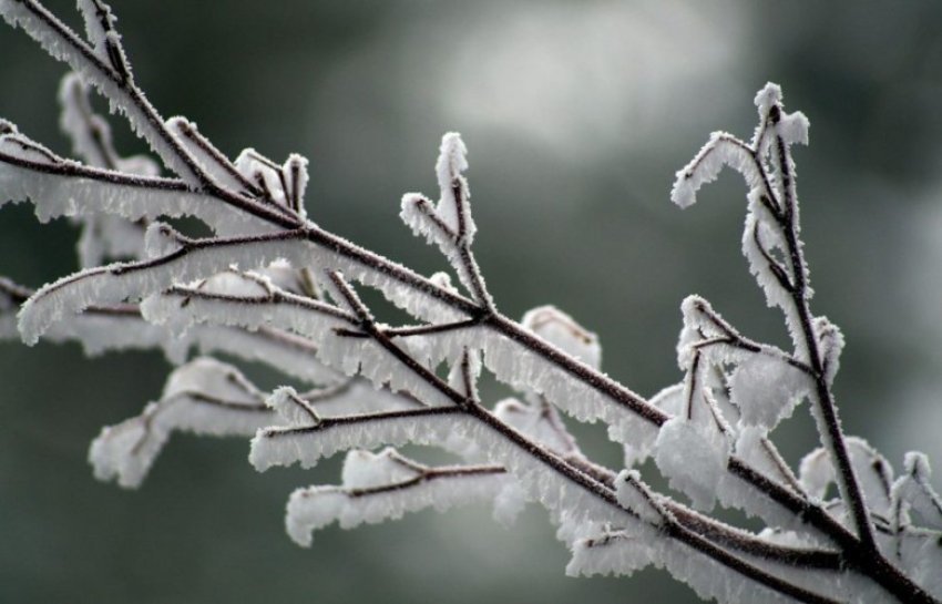 Moti sot kryesisht i vranët dhe i ftohtë 1 moti sot kryesisht i vranet dhe i ftohte 6965e274b4bad