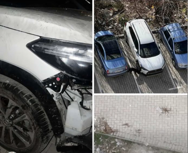 Pas sulmeve ndaj njerëzve, qentë endacakë në Gazi Babë dëmtojnë edhe automjete 2 pas sulmeve ndaj njerezve qente endacake ne gazi babe demtojne edhe automjete 695a5f3eda915