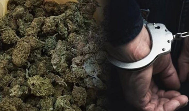 policia zbulon marihuane gjate kontrollit ne radovish arrestohet 25 vjecari 6970a562d1032