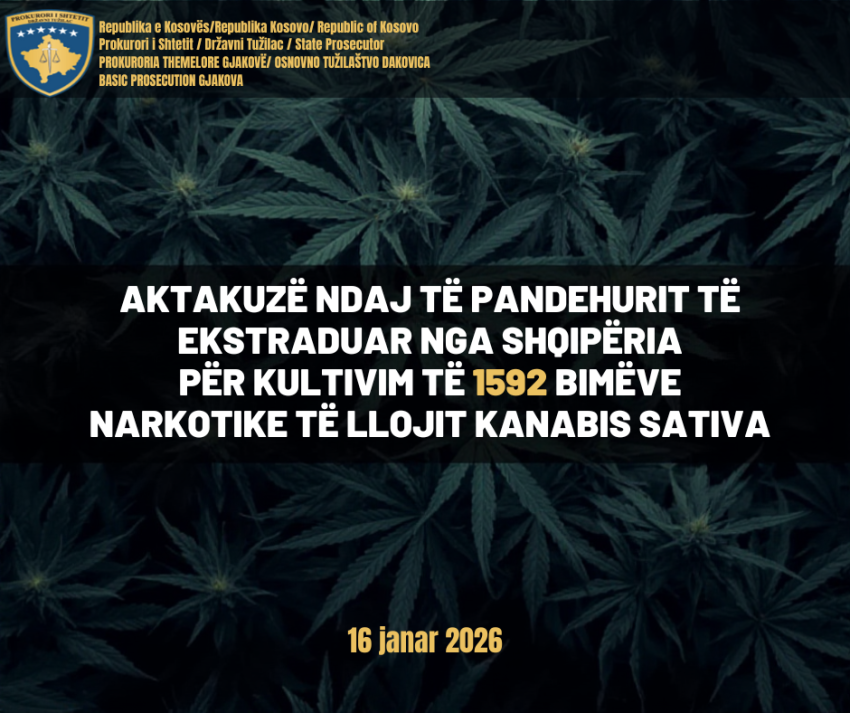 prokuroria themelore ne gjakove ngrit aktakuze per kultivim te kanabisit ndaj shtetasit te shqiperise 696a638eb8ce4