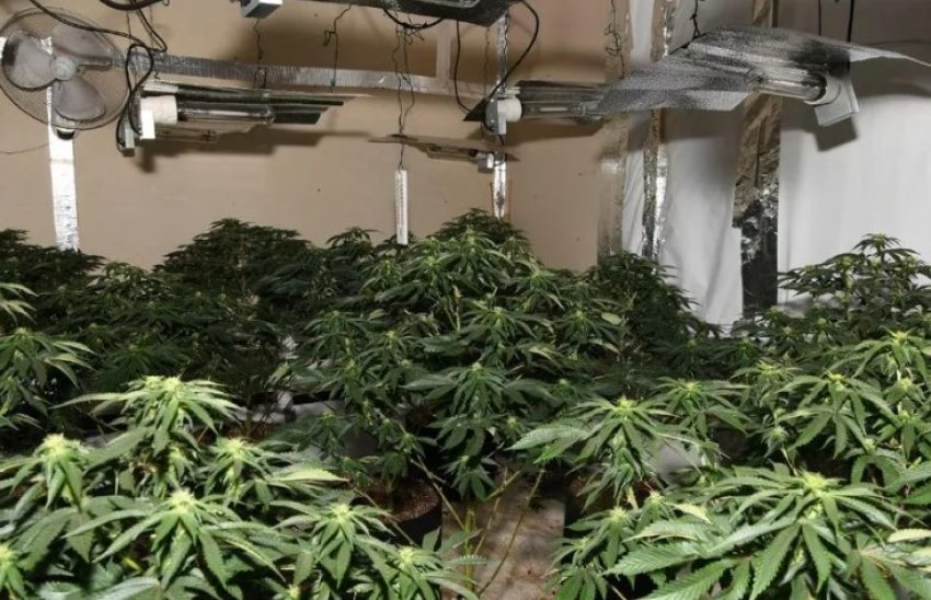 sarande zbulohet nje tjeter shtepi bari apartamenti ne nje pallat disakatesh ishte pershtatur per kultivimin e kanabisit 696e6bd493842