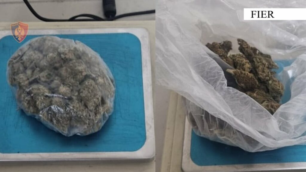 shiste doza kanabisi ne nje lokal ne patos pranga 49 vjecarit 696e188791fd0