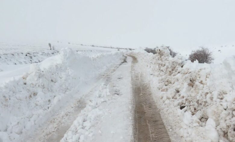 shkollat e zonave malore pa mesues te rinjte refuzojne terrenet e largeta 696cf059067cc