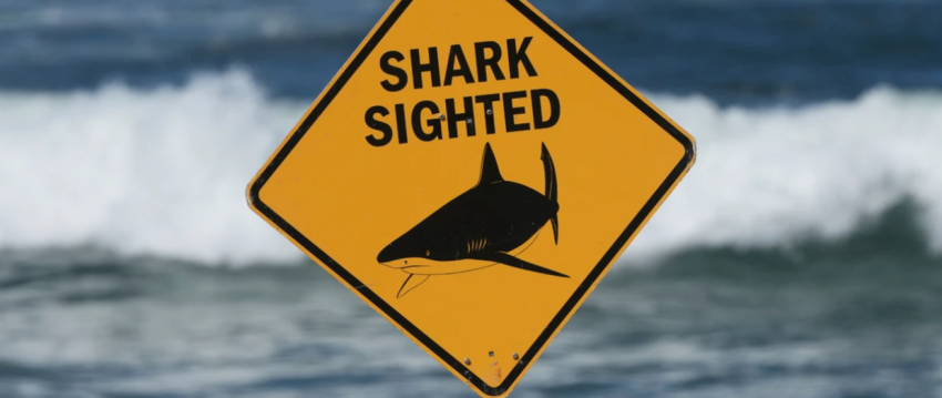 sulme me peshkaqene ne sidnei dy persona ne gjendje te rende 696e3516bbc5f