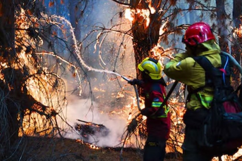 Zjarret në pyjet e Argjentinës/ Shpërthejnë flakët në 4 provincat e Patagonisë 1 zjarret ne pyjet e argjentines shperthejne flaket ne 4 provincat e patagonise 697d3b8c3f876