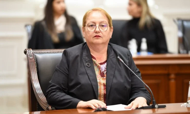 janevska nuk do ta terheqim ligjin per arsim te larte 6995ffe33ad48