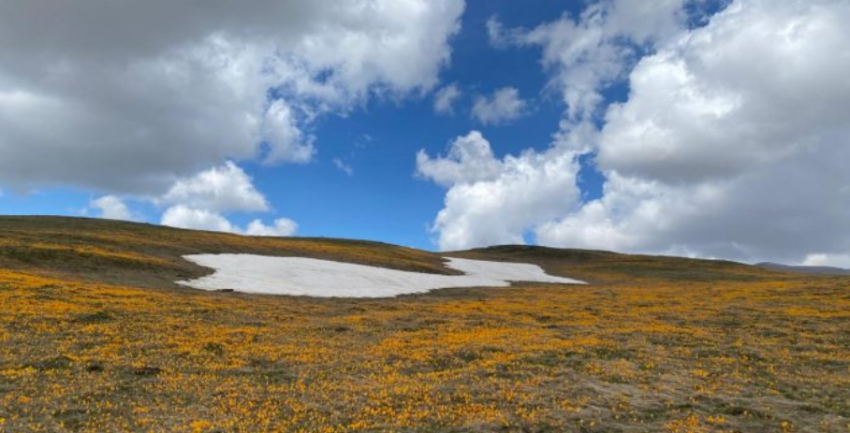 Parashikimi i motit, 22 shkurt 2026 1 parashikimi i motit 22 shkurt 2026 699aae097a496