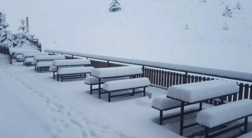 trashesia e bores ne kodren e diellit eshte 64 centimetra 698b09bb3206a