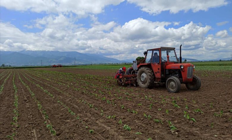 bujqit perballen me veshtiresi per shkak te rregullave per furnizimin me nafte 69af0e35ca1da