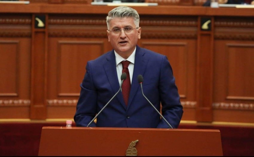 gjekmarkaj denon gjuhen e balles ndaj albana vokshit shprehje vulgare dhe denigruese 69aa49c628689