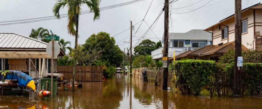 hawaii perballet me permbytjet me te keqija ne 20 vjet 69beef3773181