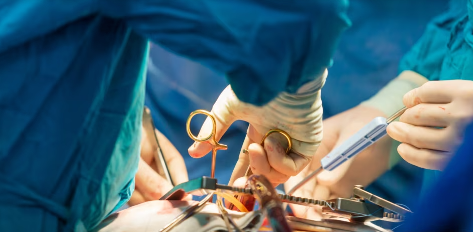 korrupsioni ne shendetesine maqedonase pacientet paguajne por nuk raportojne 69c3990fa51b9