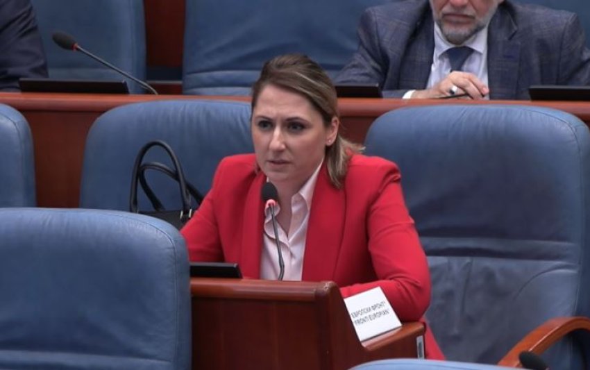 rina ajdari u pergjigjet deputeteve te vlen it 69bcb3df2d3f8