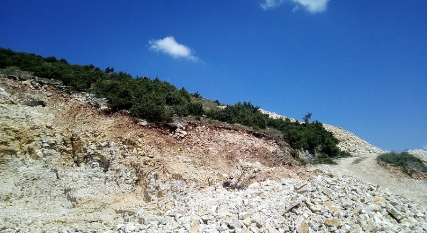 u perplas nga fadroma vdes 43 vjecari ne guroren e dajtit 69b2ce2c442b8