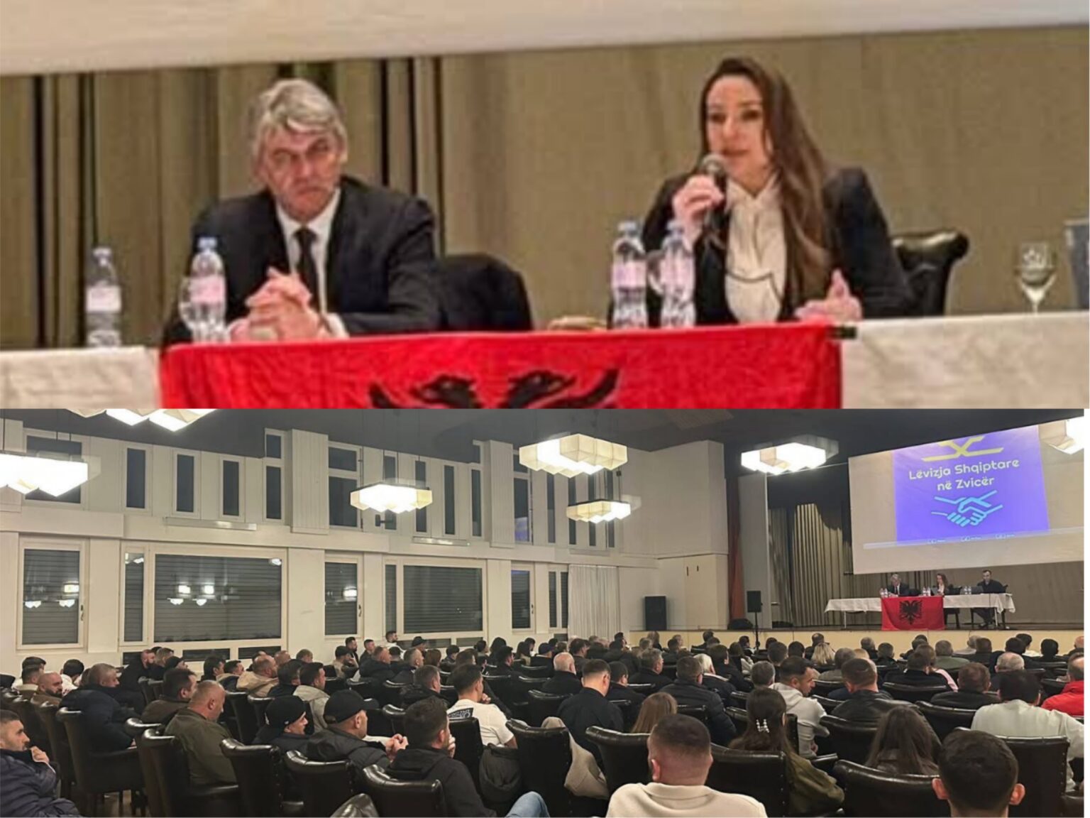 ziadin sela dhe ilire dauti takime me mergaten ne zvicer eshte koha per aktivizimin e diaspores 69c86e9655e4b