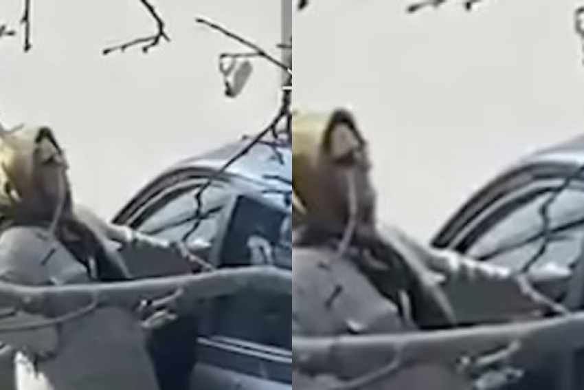 cpo ndodh ne tirane persona te dyshimte tentojne te rrmbejne femijet institucionet asnje reagim 69e6d41ee75b8