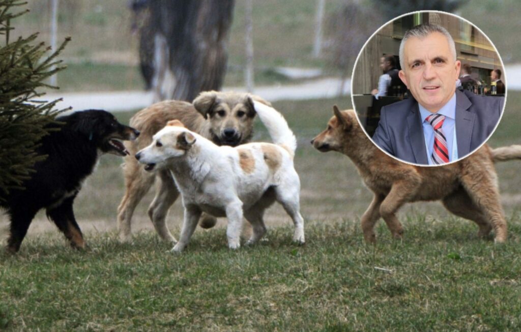 qeni endacak sulmon nxenesin ne oborr shkolle keshilltari blerim iseni fton prinderit per kujdes 69e7f66d6eb8c