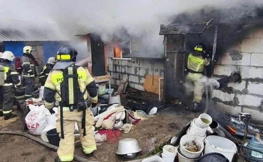 zjarri i tmerrshem ne rusi shuan jeten e rreth 200 qenve ne nje strehe kafshesh 69f2419e2bac0