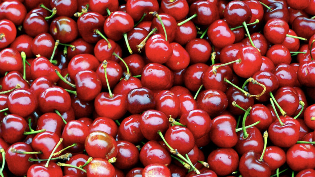 cmime te larta te frutave ne tregje qershite arrijne deri ne 400 denare 6a0a053081ec1