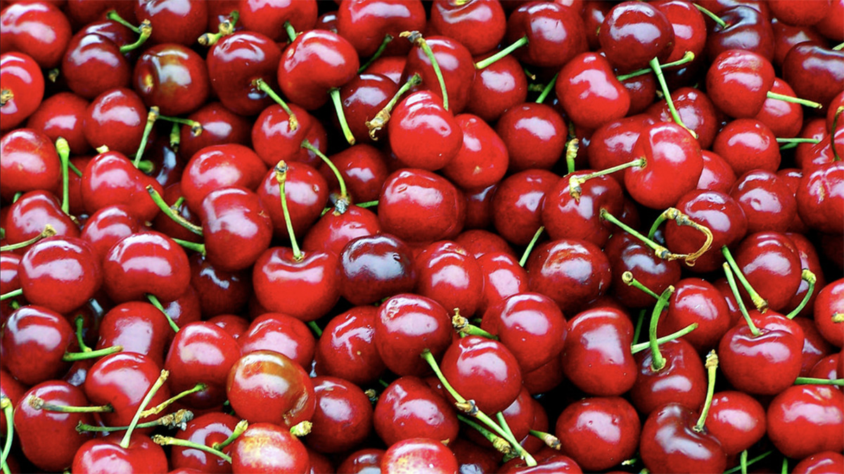 cmime te larta te frutave ne tregje qershite arrijne deri ne 400 denare 6a0a053081ec1