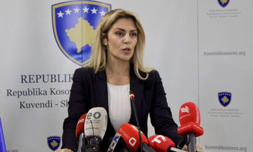 deliu kodra bedri hamza do te jete serish kandidat i pdkse per kryeminister 69f51c2d1669c