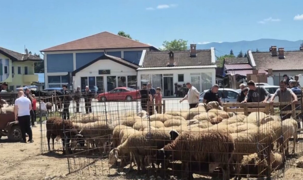 nis shitja e kurbaneve cmimet levizin nga 200 deri ne 400 euro 6a14912cde76b