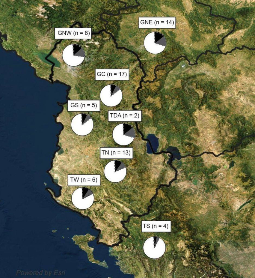 origjina e shqiptareve sipas adn se se lashte dhe gjenetikes se popullatave 69fc40730ad37