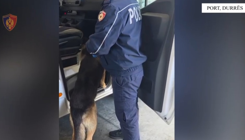 tentoi te trafikonte mbi 3 mije fara kanabisi ne shqiperi arrestohet 24 vjecari ne durres 69f99db1530d7