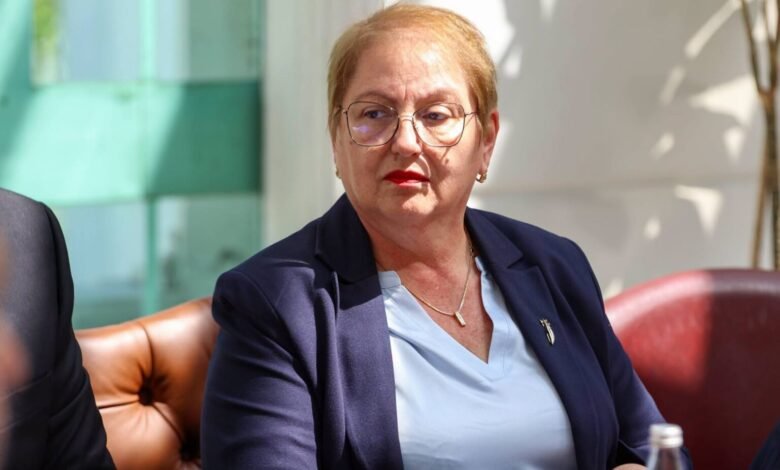 vesna janevska po diskutohen ndryshime ligjore per denimin e prinderve te femijeve te dhunshem 6a0485a1c0c5f