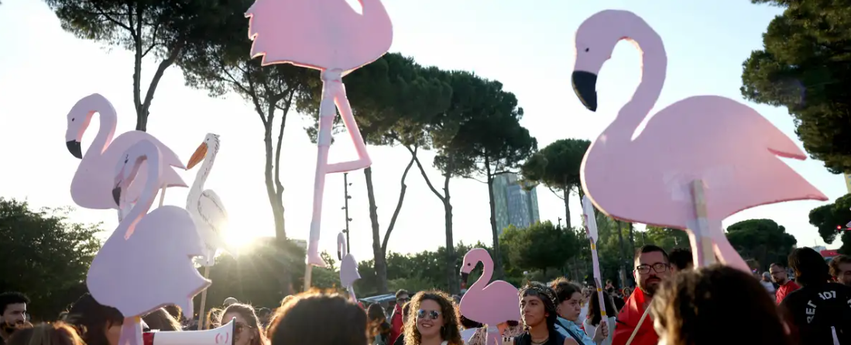 Çfarë po e mban gjallë protestën në Shqipëri? 4 cfare po e mban gjalle protesten ne shqiperi 6a399233000da