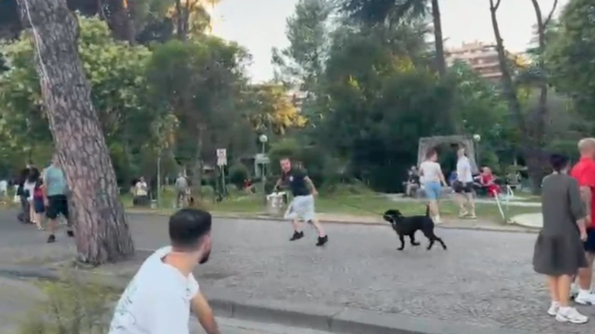 Dalin pamjet, protestuesit në Shqipëri ndjekin të riun me pitbull pas përplasjes verbale 3 dalin pamjet protestuesit ne shqiperi ndjekin te riun me pitbull pas perplasjes verbale 6a2c6334f1ffc