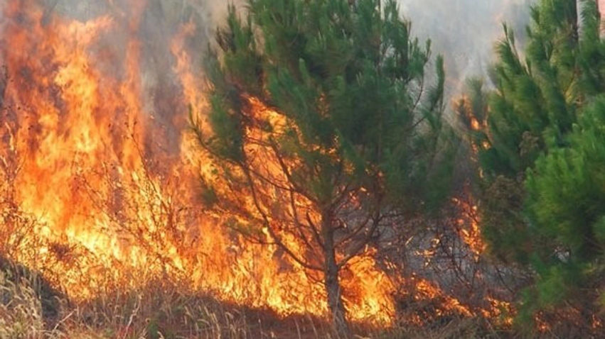 dy zjarre aktive ne maqedoni 6a3fdf837a51e
