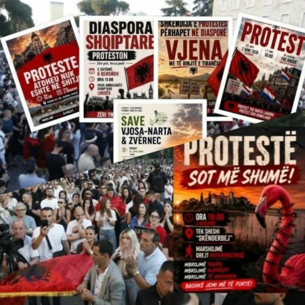 kim mehmeti aleanca e qelbesirave ka vetem nje shprese qe kjo rini te lodhet dhe te dorezohet 6a22bd4e74a4d