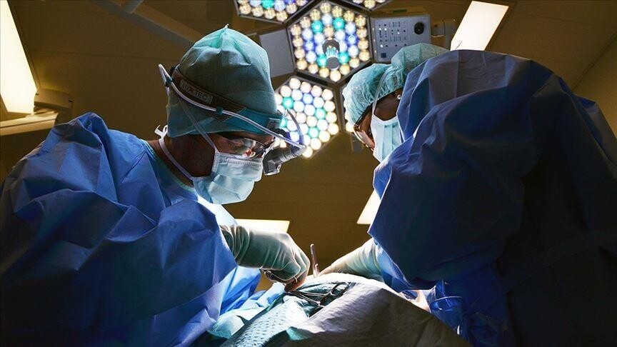 Kina kryen transplantin e parë të mëlçisë dhe veshkave të derrit te një pacient 3 kina kryen transplantin e pare te melcise dhe veshkave te derrit te nje pacient 6a281546b174b