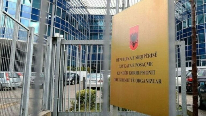 partizani skishim informacione per ekzistencen e ndonje pronari apo nese ishin zaptuar zbardhet deshmia e violeta shqevit 6a26909028b0f