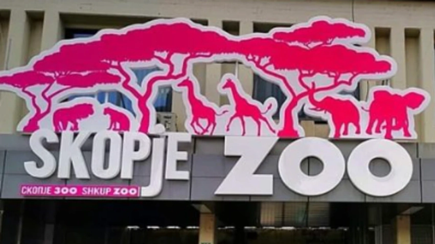 pld disa ujqer dolen nga kafazi ne kopshtin zoologjik te shkupit dhe hengren disa kangure dhe zogj 6a3d3c7cc801f