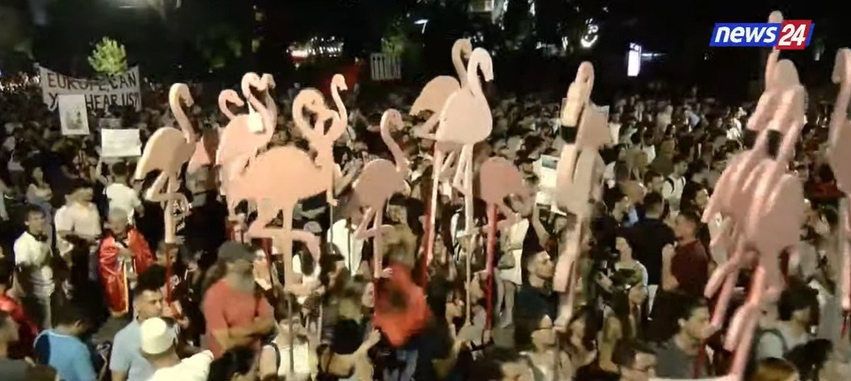 protesta e 19 kunder rames bulevardi mbushet me flamingo 6a344c56823a2