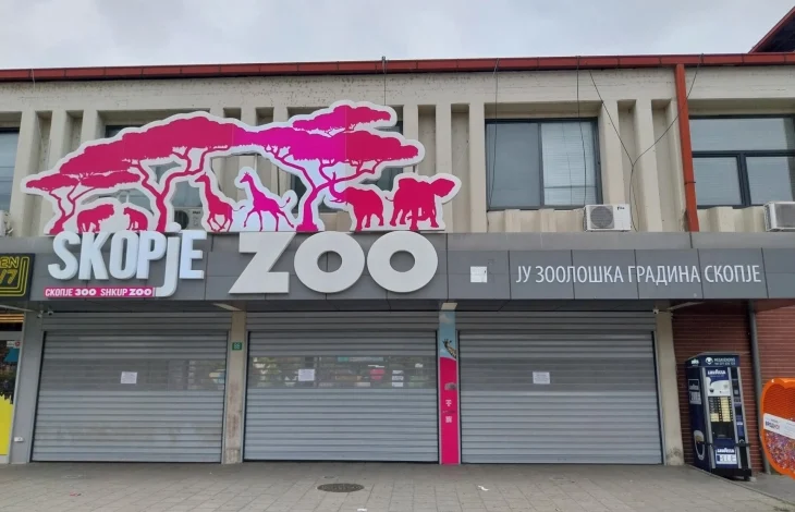 ujqit dalin nga kafazet ne kopshtin zoologjik te shkupit mbysin kater kengure dhe disa shpende 6a3ebfe81ed13