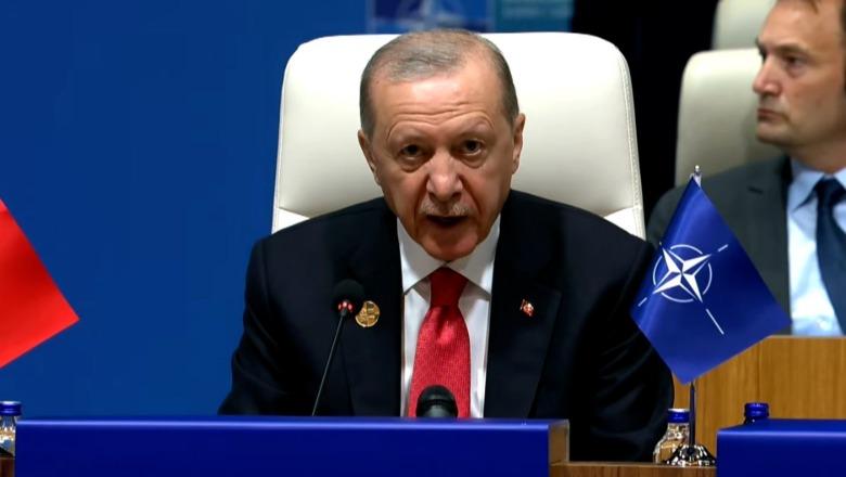 Erdogan: Mbështetje për Ukrainën, të gatshëm të ndihmojmë për marrëveshjen SHBA-Iran 3 erdogan mbeshtetje per ukrainen te gatshem te ndihmojme per marreveshjen shba iran 6a4e34ab3a609