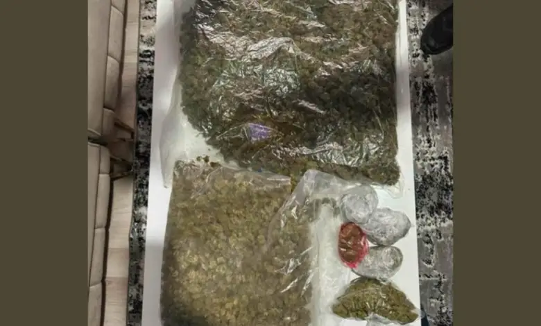 i gjeten ne shtepi mbi 2 kg droge arrestohet haracinasi 25 vjec 6a648c3153da9