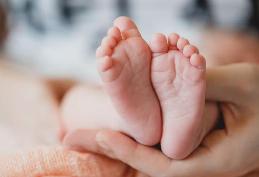 Kosova regjistron më shumë lindje dhe më pak vdekje gjatë muajit maj 2026 3 kosova regjistron me shume lindje dhe me pak vdekje gjate muajit maj 2026 6a580052e40cb
