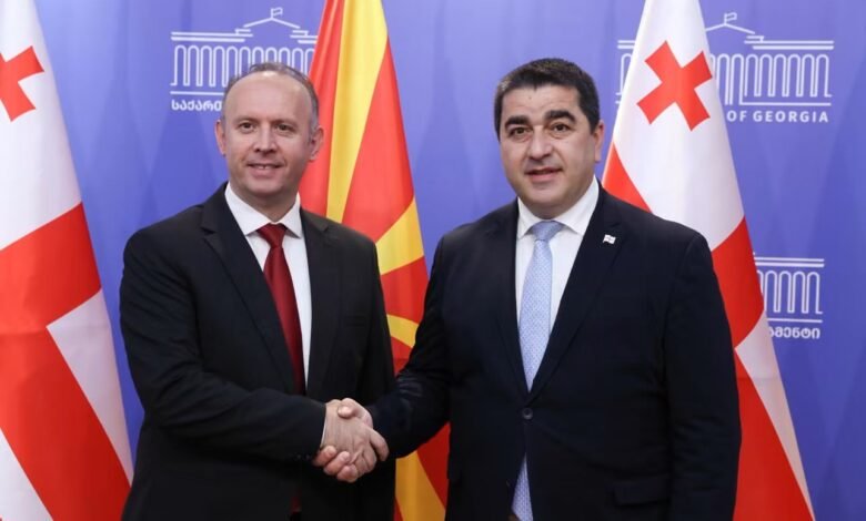 kryeparlamentari gashi takon papuashvilin ne tbilisi forcojme partneritetin mes dy vendeve 6a44e6e0b45a4