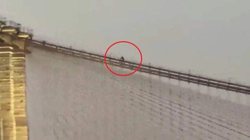 Momente tensioni në Urën e Bruklinit/ Burri ecën mbi kabllot në lartësi të madhe, bllokohet trafiku 3 momente tensioni ne uren e bruklinit burri ecen mbi kabllot ne lartesi te madhe bllokohet trafiku 6a4fc2f38a21f