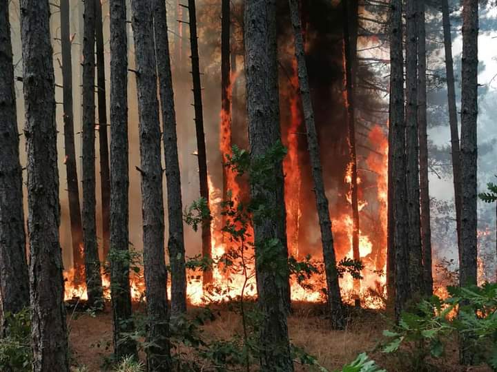 S’ka zjarre aktive në territorin e shtetit 3 ska zjarre aktive ne territorin e shtetit 6a54116f1684f