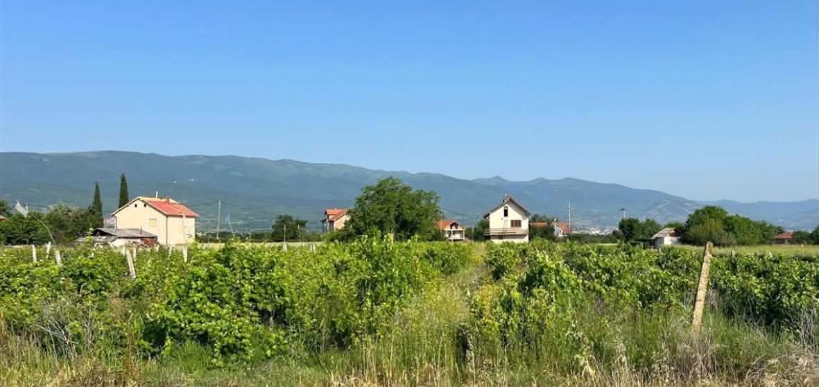 3 te mitur sulmohen fizikisht nga bashkemoshataret ne novo selle te kumanoves 6a8f109281a8e