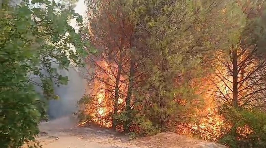 35 vatra zjarri në 24 orë, 8 ende aktive/ Vijojnë operacionet për shuarjen e flakëve në Tiranë, Krujë dhe Dibër 2 35 vatra zjarri ne 24 ore 8 ende aktive vijojne operacionet per shuarjen e flakeve ne tirane kruje dhe diber 6a803691f10b9